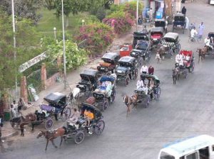 Luxor - tourist carriages waiting for business.