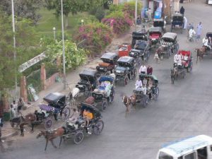 A group tour with the Dutch Djoser company traveled from