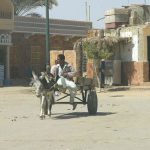 Siwa Oasis town - common transport.