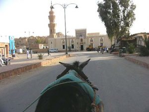 Siwa - main mosque in the town center.