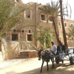 Siwa - Shali Lodge Hotel