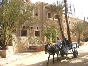 Siwa - Shali Lodge Hotel