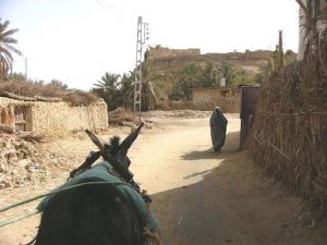 Siwa Oasis town road