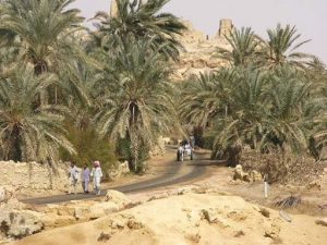 Approaching the ancient Temple of Ammon (Amun) where Alexander the Great