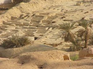 Just outside Siwa is the Gebel al-Mawta (Mountain of the