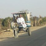 Siwa - taxi near town