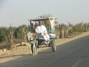 Siwa - taxi near town