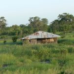 Dilapidated house