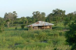 Dilapidated house