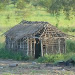 Dilapidated mud and stick house