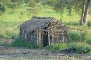 Dilapidated mud and stick house