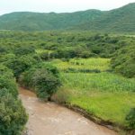 Verdant landscape of northern Zambia