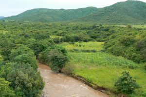 Verdant landscape of northern Zambia