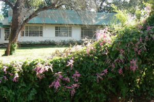 On the outskirts of Livingstone are numerous private schools.