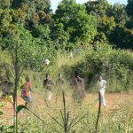 Soccer on the corn fields.