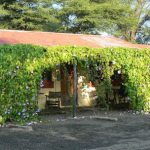 Zig Zag Hostel in Livingstone