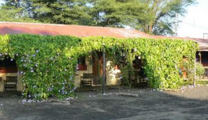 Zig Zag Hostel in Livingstone