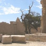 A huge temple built by Ramses II to honor himself.