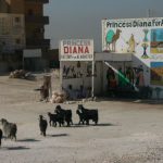 Local souvenir shops in the Valley of the Kings.