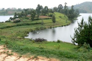 Lake Bunyonyi green farms and serenity