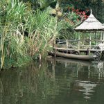 Lake Bunyonyi boat landing at Crater Bay Cottages