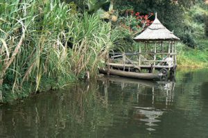 Lake Bunyonyi boat landing at Crater Bay Cottages