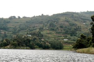 Lake Bunyonyi green farms and serenity