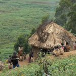 Lake Bunyonyi Pigmy village of straw huts. These people came from