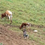 Hillside farmers