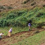 Hillside farmers