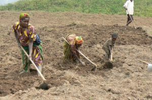 Lake Bunyonyi farmers include small children