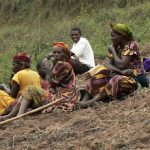 Lake Bunyonyi farmers taking a break