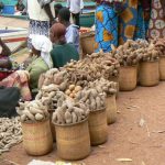 Tuberous vegetables for sale at market