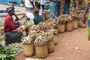 Tuberous vegetables for sale at market