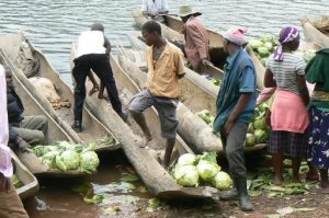 Lake Bunyonyi market day vegetables