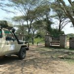 Serengeti National Park - tour truck