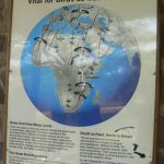 Serengeti National Park - bird sign