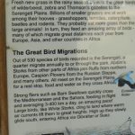 Serengeti National Park - bird sign