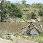 Serengeti National Park