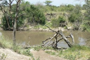 Serengeti National Park