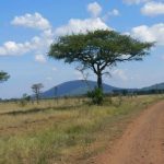 Serengeti National Park