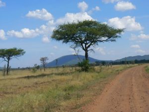 Serengeti National Park