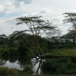 Serengeti National Park