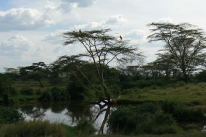 Serengeti National Park