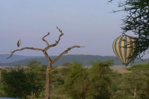 Early morning balloon ride over the