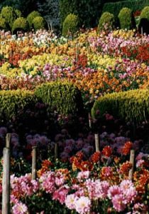 Switzerland - most Swiss people plant a garden