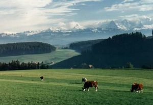 Switzerland - Alpine serenity