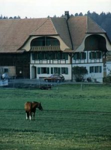 Switzerland - elaborate traditional farmhouse with large overhangs surrounded by