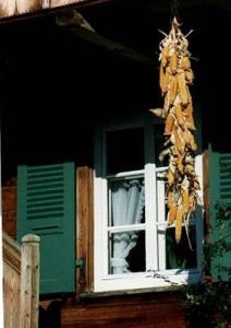 Switzerland - autumn corn