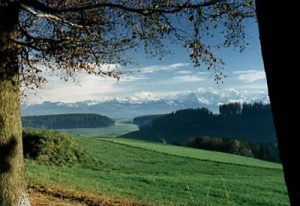 Switzerland - serene green hills and